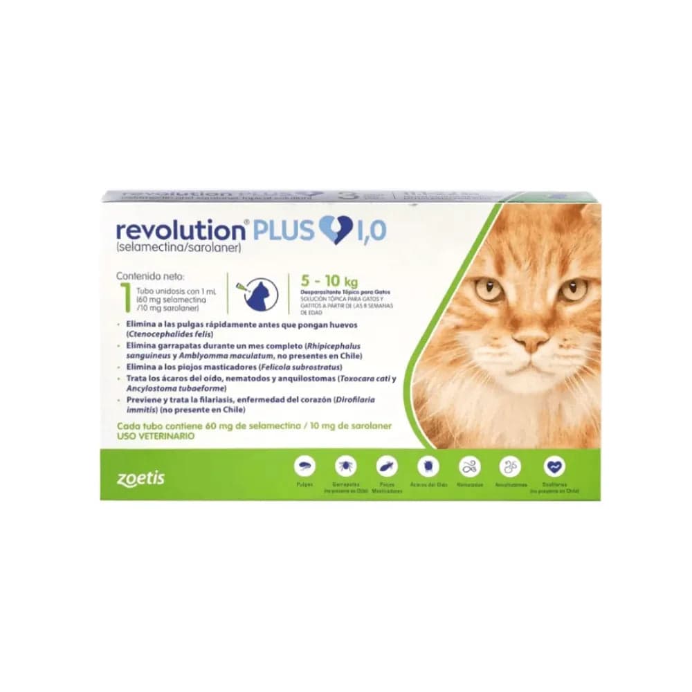 Revolution Plus (5 a 10 kg)