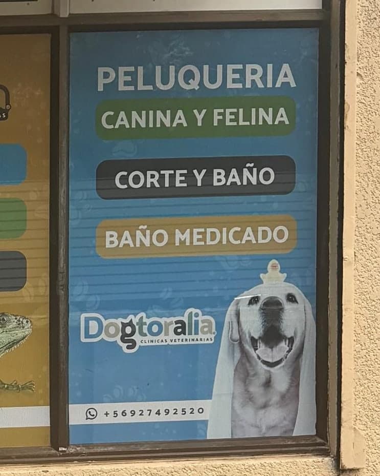 Vinilo de peluquería canina y felina, corte y baño y baño medicado, en la vitrina de la sede Santiago Centro